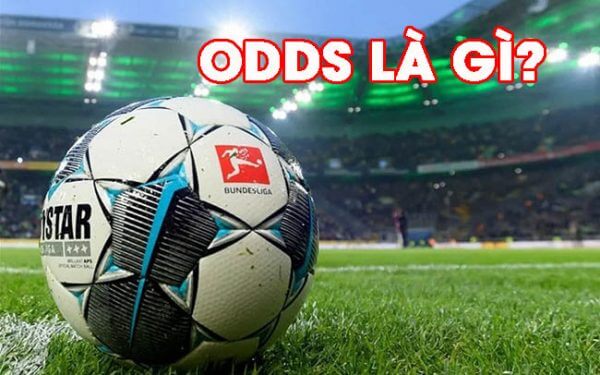 Odds là gì Giải thích đơn giản và dễ hiểu nhất